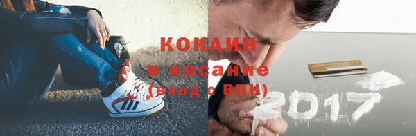 тгк Алзамай