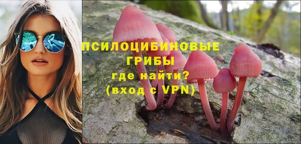 тгк Алзамай