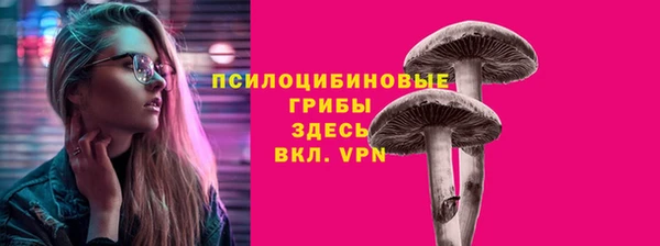 шишки Алексин