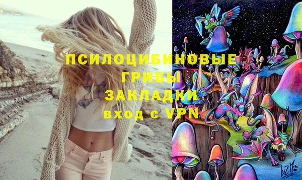 тгк Алзамай