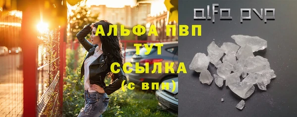 шишки Алексин