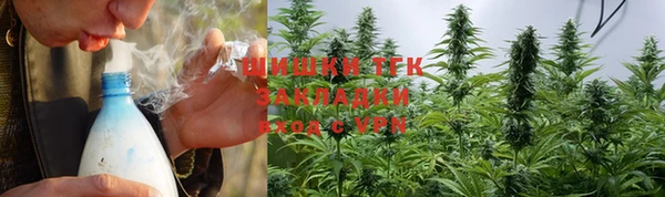 шишки Алексин