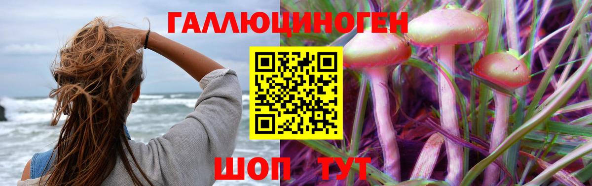 купить наркотики сайты  Псилоцибиновые грибы ЛСД  Галлюциногенные грибы мицелий  Вход с VPN  Белореченск 