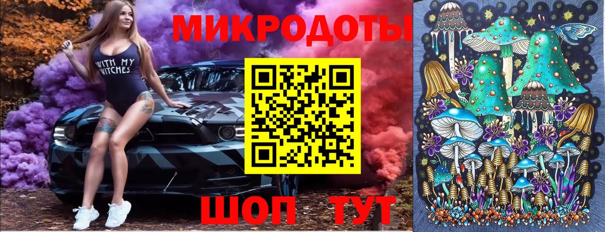 Галлюциногенные грибы Psilocybe Белореченск